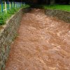 image011
